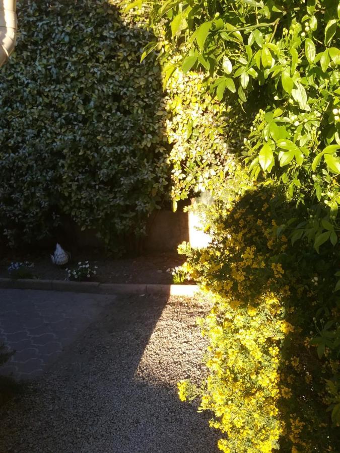Une Chambre En Ville L'Isle-sur-la-Sorgue Luaran gambar